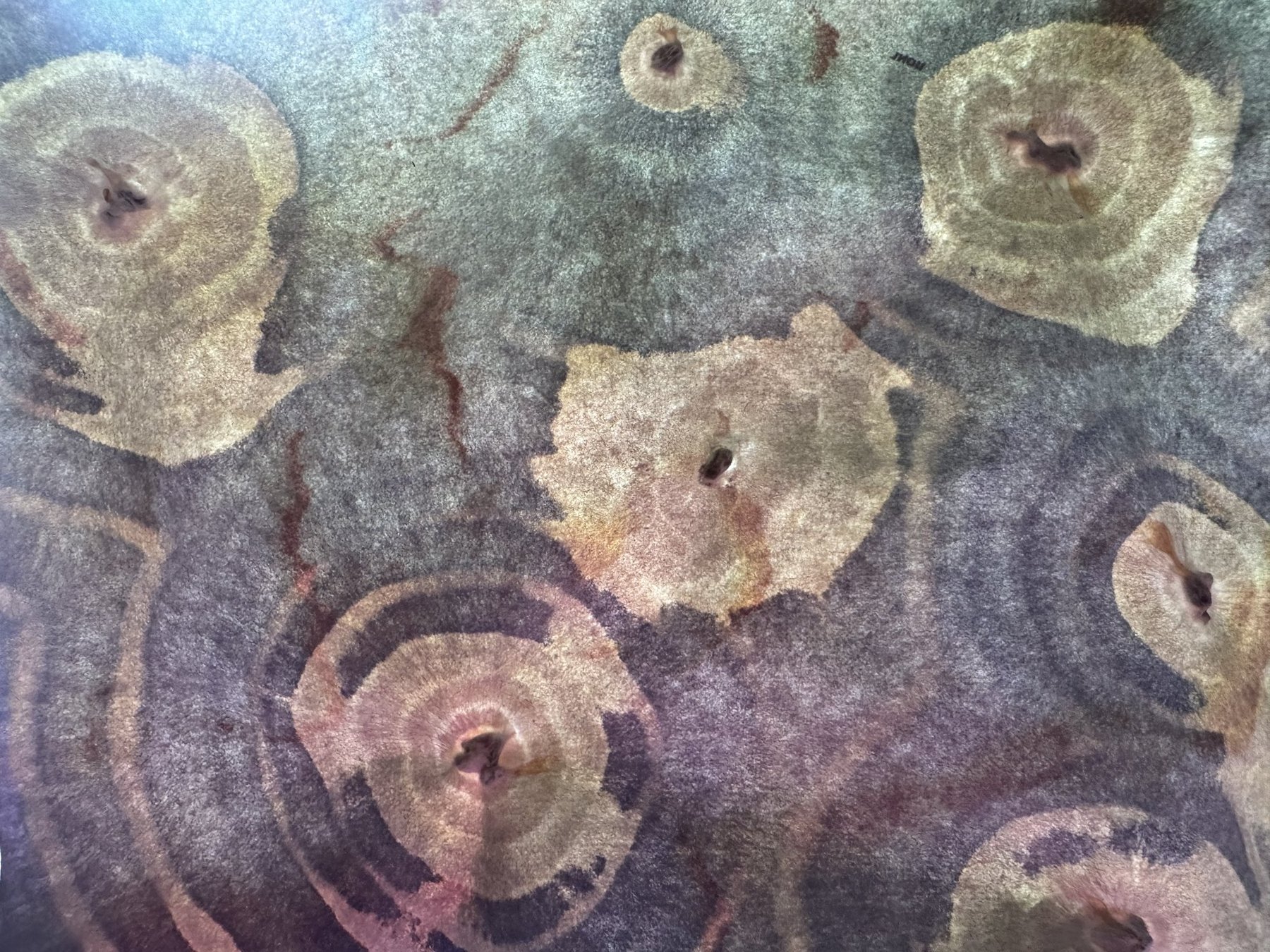 Ripples, from Vulnerable Landscapes