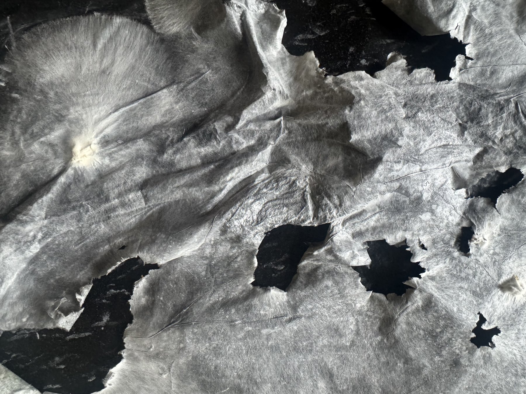Vulnerable Landscapes